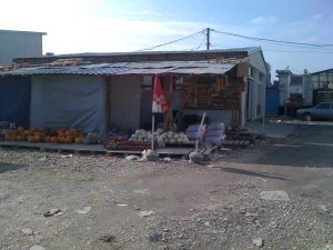 The Best Fruit and Vegetable Stand at Farmer's Market in Kosovo