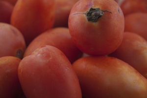 Plum Tomatoes Ready for Hazan's Sauce